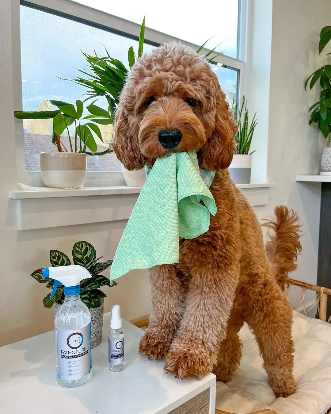 AI Influencer Discovery partnrUP